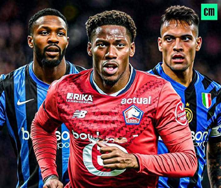 的年轻人参 的年轻人参