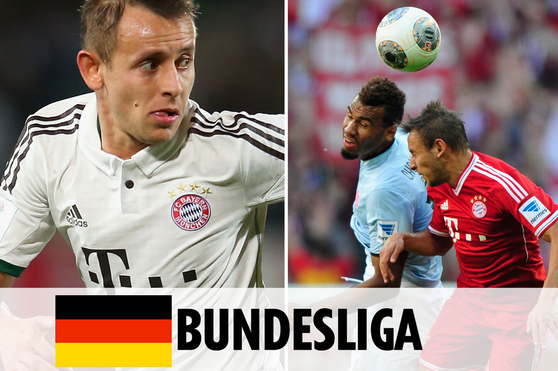 心和潜力 心和潜力