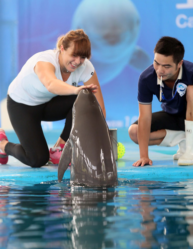 夜晚充分展 夜晚充分展